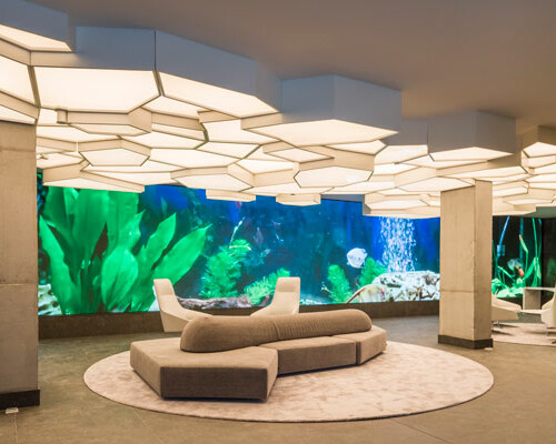 hall_02_50935710661_o