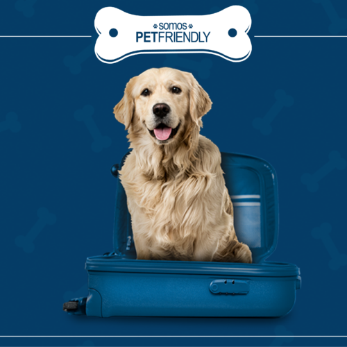 dogfriendlyalargado_paranuestraweb