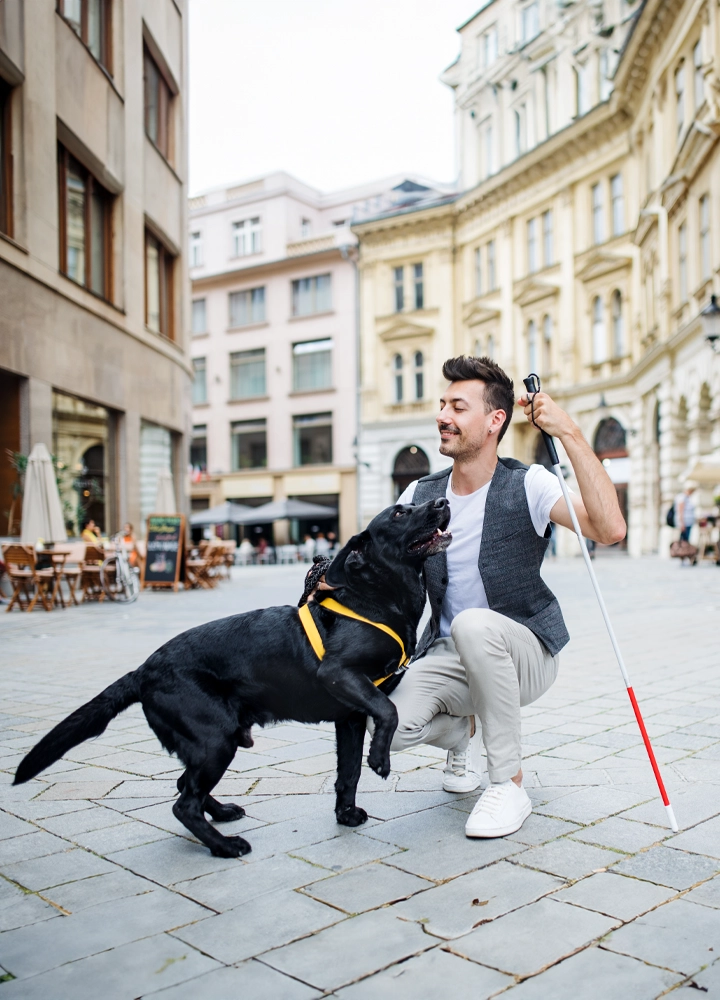 Persona agachada en la calle, acompañada de un perro negro con arnés, típicamente usado para perros guía. La persona sostiene lo que parece ser un bastón blanco con punta roja, comúnmente utilizado por personas con discapacidad visual.
