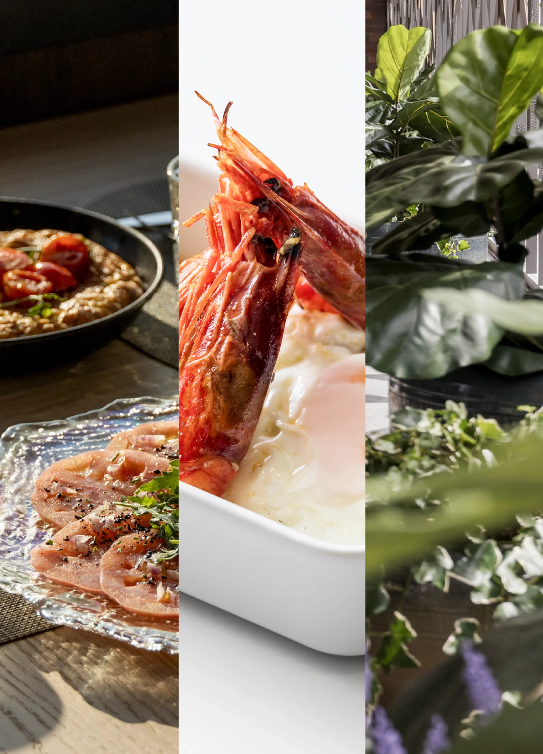 Collage de tres imágenes gastronómicas. A la izquierda, un plato con tomate cherry. En el centro, un plato blanco con camarones grandes y un huevo a baja temperatura. A la derecha, una composición artística con hojas verdes.