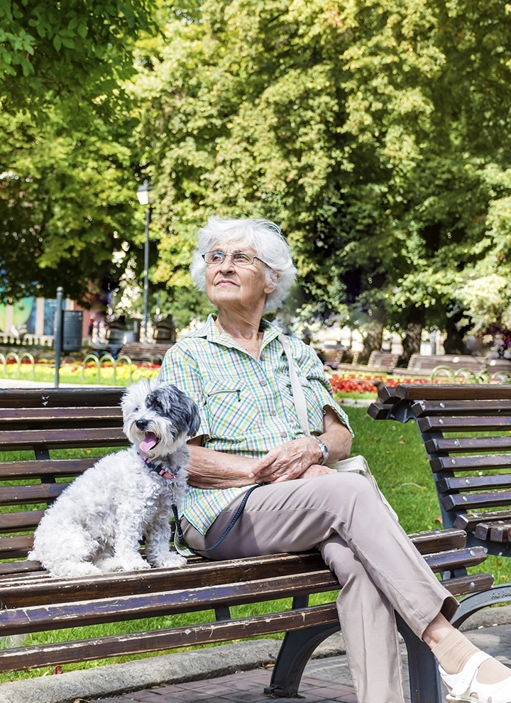 La imagen muestra a una mujer mayor con cabello blanco y gafas, sentada en un banco de parque junto a un pequeño perro blanco y negro. Ella viste una camisa de cuadros verdes y azules, pantalones beige y sandalias blancas. El perro lleva un collar con correa y saca la lengua. El entorno está lleno de árboles frondosos y vegetación, con un ambiente de día soleado y tranquilo.