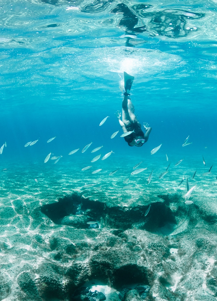 Fotografía submarina de una buceadora nadando entre bancos de peces coloridos en un arrecife de coral.