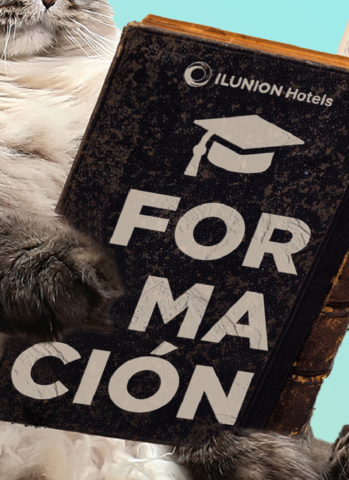 Gato sosteniendo un libro. En la portada del libro se lee el texto 