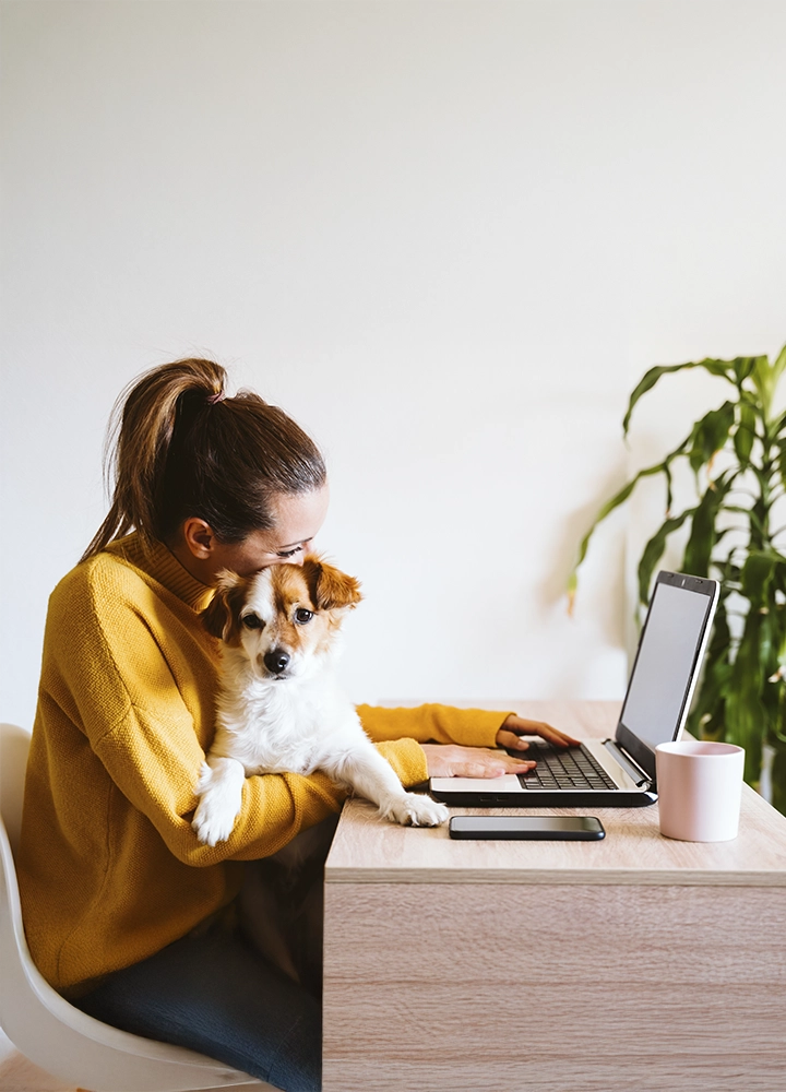 Mujer joven trabajando desde casa con su portátil, acompañada de su perro en el regazo. Lleva un jersey amarillo y está sentada en una mesa de madera clara con una taza y un teléfono móvil. Al fondo, una planta grande aporta un toque natural al ambiente.