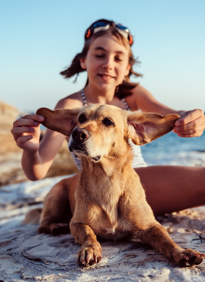 A smiling person holds the outstretched ears of a dog while they sit together on rocks by the sea.