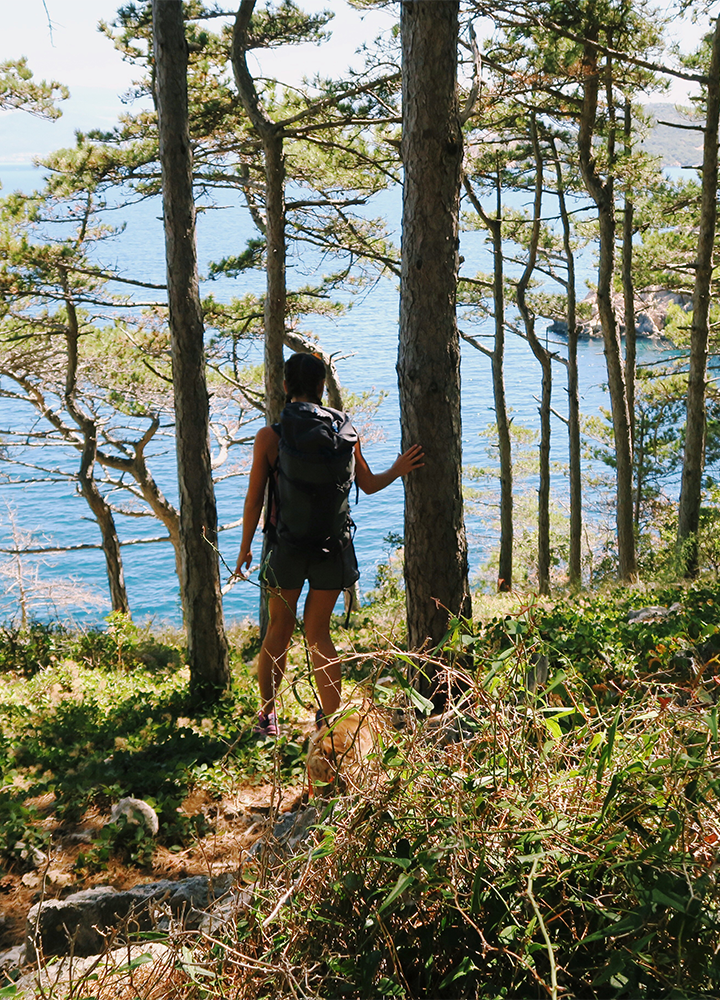 Persona con mochila de pie entre árboles en un bosque junto al mar.