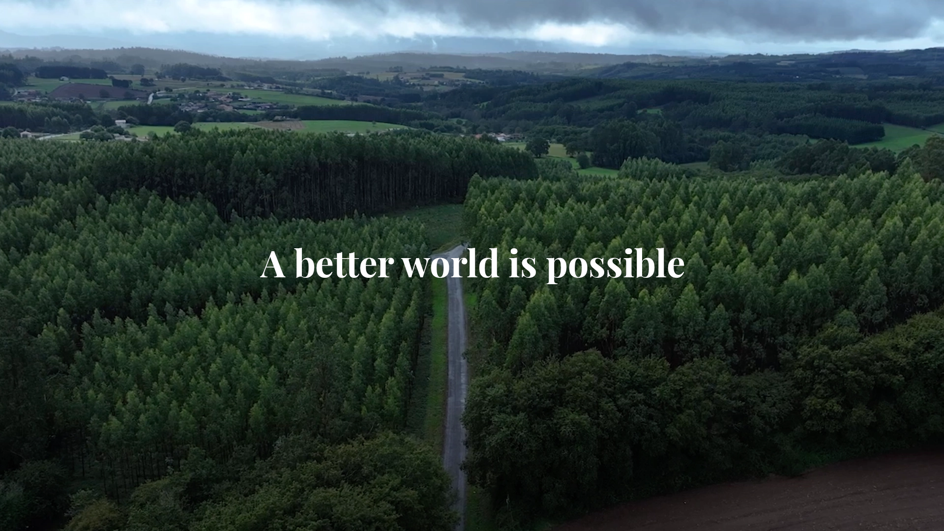 Green forest crossed by a path, with the text “A better world is possible” in the center.