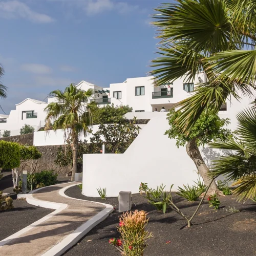 A curved path lined with palm trees and lush greenery leads to modern white buildings with balconies, under a clear sky.