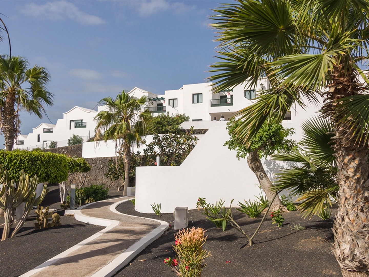 A curved path lined with palm trees and lush greenery leads to modern white buildings with balconies, under a clear sky.