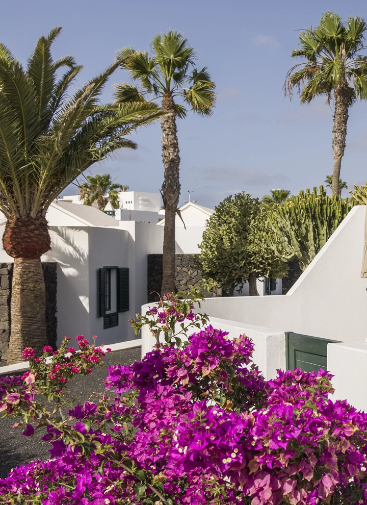 Bungalows at ILUNION Costa Sal, surrounded by flowers and palm trees.