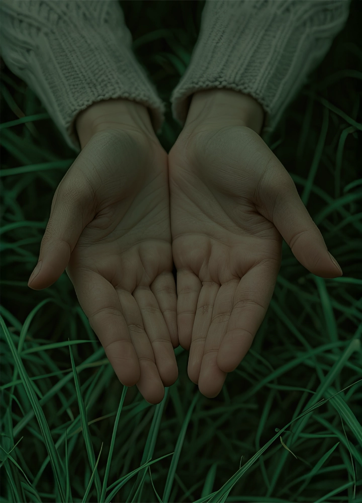 Dos manos abiertas descansan sobre hierba verde
