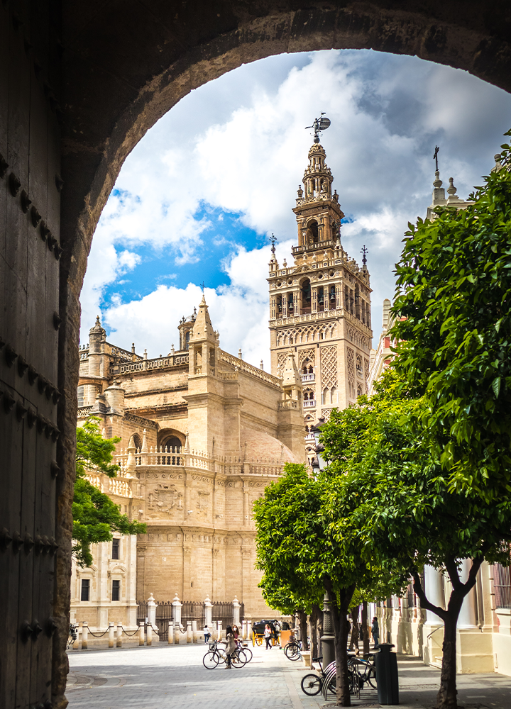 La torre de la Giralda en Sevilla vista a través de un arco; en primer plano hay árboles y bicis.