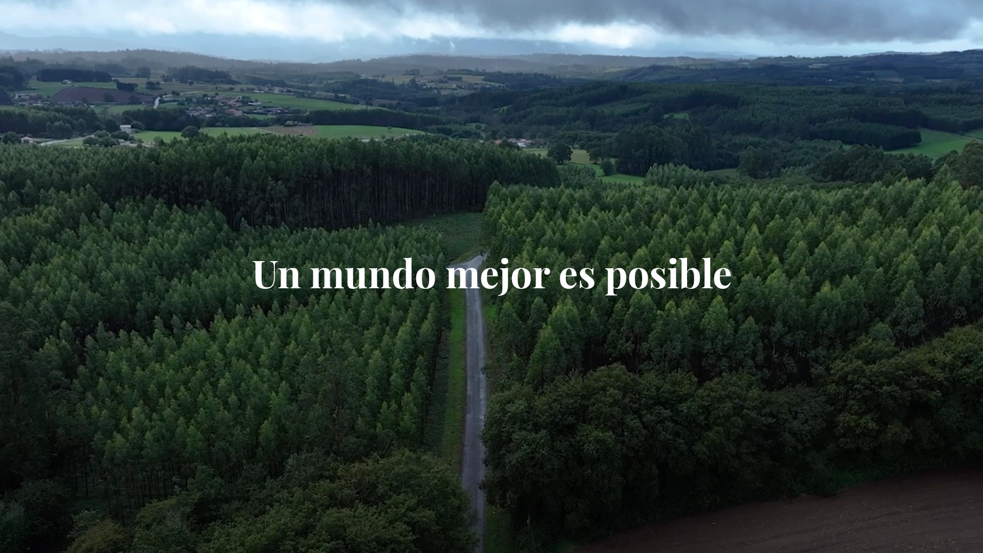Bosque verde atravesado por un camino, con el texto “Un mundo mejor es posible” en el centro