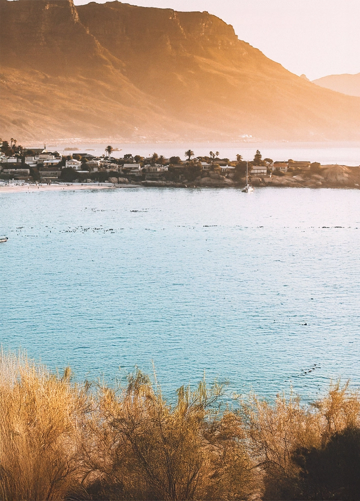Vista panorámica de una bahía al atardecer, con una montaña en la orilla. Hay casas en la base de la montaña y el agua de la bahía es azul. Se ven arbustos amarillos en primer plano.