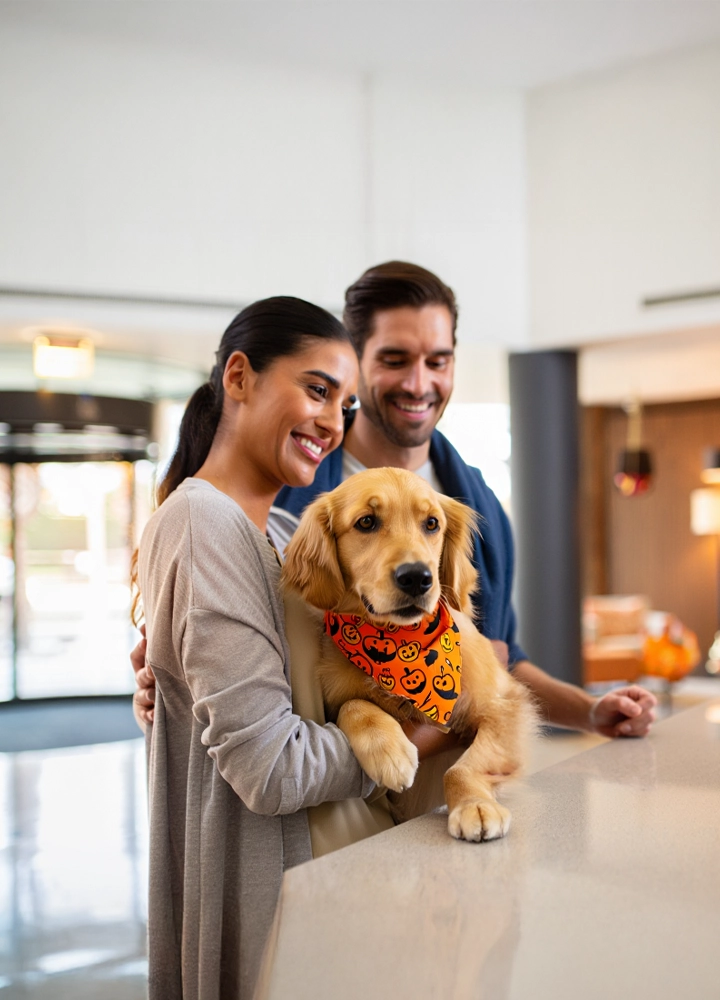Una pareja sonriente en la recepción de un hotel, sosteniendo un cachorro Golden Retriever que lleva un pañuelo de Halloween con calabazas.