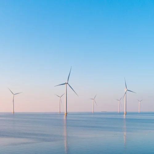 Parque eólico marino con múltiples aerogeneradores distribuidos uniformemente sobre aguas tranquilas. El cielo muestra un degradado entre rosa y azul, indicando amanecer o atardecer. Las turbinas se reflejan en el mar, creando una composición visual armónica. La imagen transmite innovación, sostenibilidad y compromiso con las energías limpias, ideal para comunicar transición energética, conservación ambiental o infraestructuras responsables.