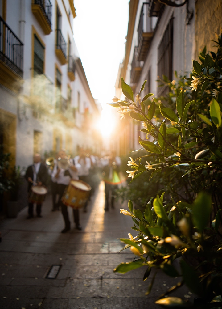 Una estrecha calle empedrada en una ciudad de estilo mediterráneo durante el atardecer. En primer plano, a la derecha, se ven las hojas verdes y las pequeñas flores blancas de un arbusto (posiblemente un naranjo) bañadas por la luz dorada del sol. Al fondo, una banda de músicos uniformados, desenfocada, avanza por la calle tocando tambores y trompetas. La luz intensa del sol al final de la calle crea un efecto de resplandor y calidez entre los edificios blancos de varios niveles con balcones de hierro forjado.