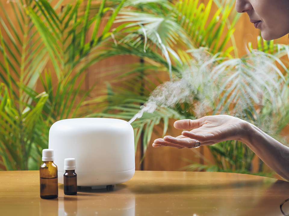 Una persona acerca su mano a un difusor de aceites esenciales blanco que emite vapor suave sobre una mesa de madera. Junto al difusor hay dos pequeños frascos de vidrio oscuro. Al fondo se ven plantas verdes, creando un ambiente tranquilo y natural.
