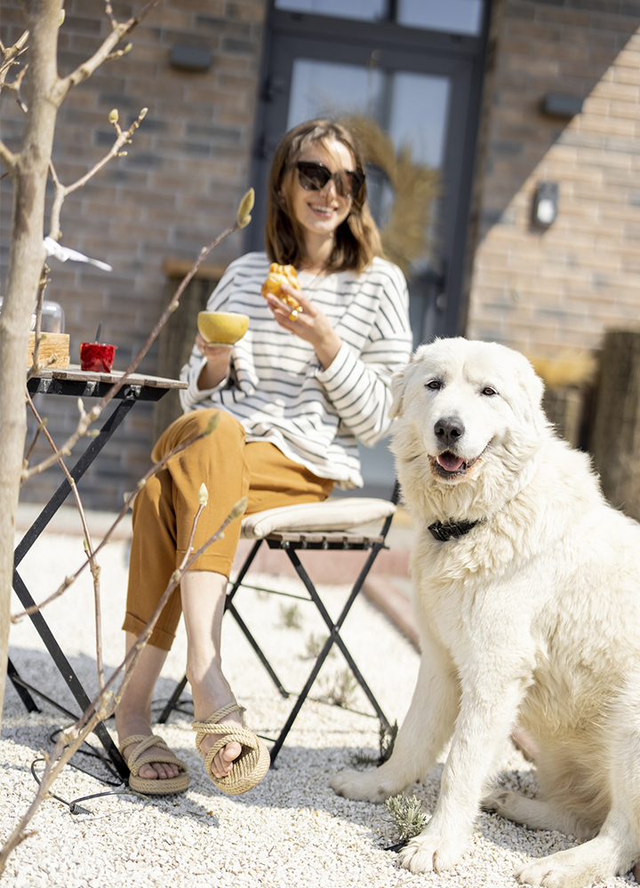 Persona sentada en una silla plegable en un patio exterior junto a una mesa pequeña sostiene comida en una mano y un cuenco en la otra, mientras a su lado, en primer plano, un perro grande de pelaje blanco mira hacia la cámara; el entorno muestra suelo de grava, ramas de una planta en primer término y una fachada de ladrillo con una puerta acristalada al fondo, todo iluminado por luz natural intensa que resalta los tonos claros y cálidos de la escena.