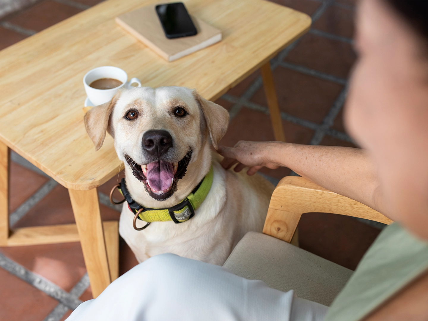 Escena en una terraza con suelo de baldosas rojizas. En primer plano, un perro de tamaño mediano, de pelaje claro, lleva un collar verde y mira hacia arriba con la boca abierta dejando ver la lengua. A su lado, una persona sentada en una silla de madera apoya una mano sobre el cuello del animal. Delante del perro hay una mesa baja de madera clara. Encima de la mesa se ve una taza blanca con café y, detrás, un teléfono móvil colocado sobre una libreta o pequeño cuaderno. La iluminación es natural y cálida, resaltando la textura de la madera y el pelaje del animal. La composición transmite un momento tranquilo en un entorno de cafetería o restaurante que admite mascotas.