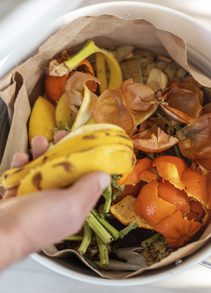 Restos orgánicos de origen vegetal, como cáscaras de plátano, naranja, cebolla y otros residuos alimentarios, se depositan en un recipiente destinado a la recogida de materia orgánica. La escena pone de relieve la separación adecuada de los residuos biodegradables y su potencial aprovechamiento mediante procesos como el compostaje. En conjunto, transmite un mensaje de sostenibilidad, reducción del desperdicio alimentario y compromiso con una gestión más responsable de los recursos.