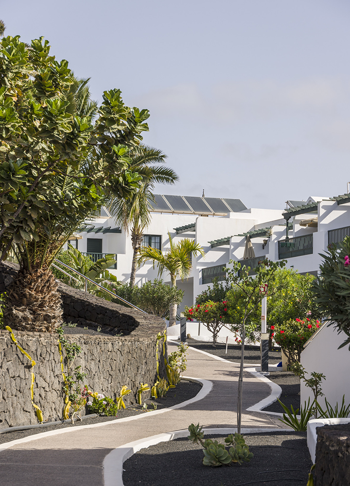 Camino curvo entre jardines cuidados con plantas tropicales y muros de piedra volcánica, flanqueado por casas blancas de estilo moderno con terrazas, en un entorno soleado y tranquilo.