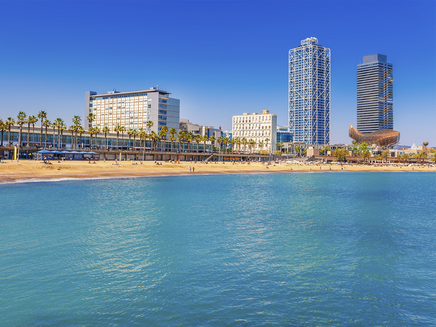 Vista de una playa urbana con arena clara en primer plano junto a agua tranquila de tono azul verdoso, donde varias personas se distribuyen a lo largo de la orilla; detrás se alinea un paseo con palmeras y, a continuación, varios edificios de diferentes alturas y estilos, incluyendo una torre alta de estructura moderna y un hotel de fachada clara, todo bajo un cielo completamente despejado de color azul intenso.