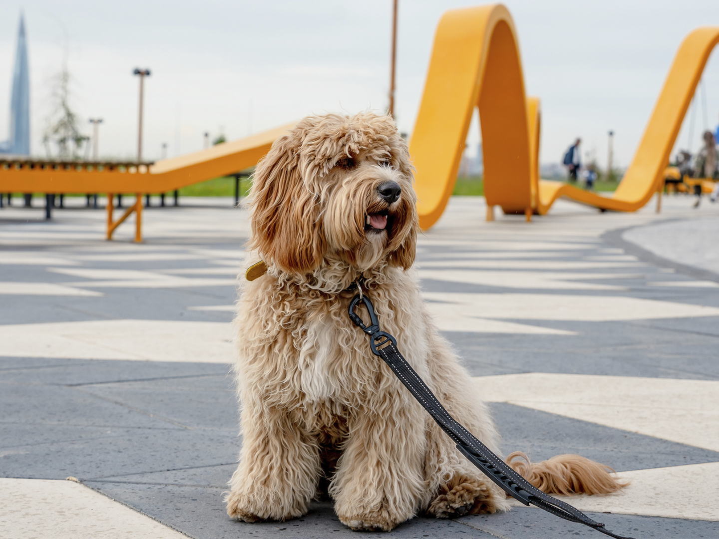 Perro de pelaje largo y rizado en tono beige claro, sentado en un suelo de baldosas grises con correa negra, en primer plano; al fondo, una estructura urbana ondulada de color naranja sobre una amplia plaza con algunas figuras desenfocadas.