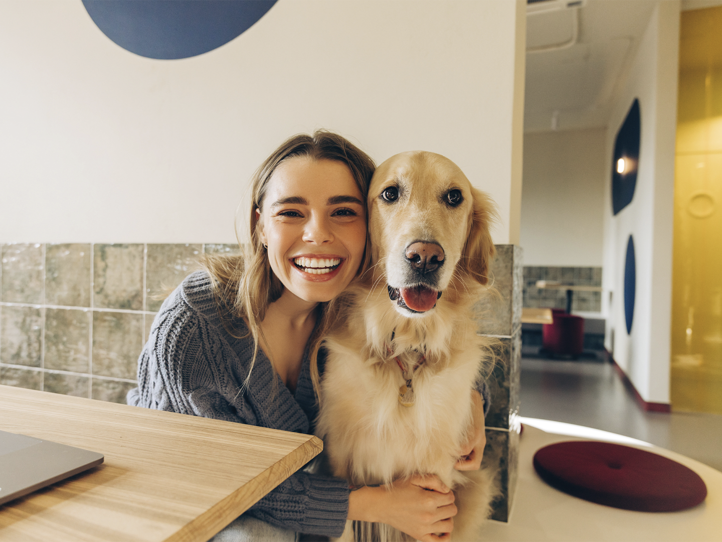 Persona abrazando a un perro de pelaje dorado en un interior luminoso, situados junto a una mesa de madera con un ordenador parcialmente visible en la esquina izquierda; al fondo se aprecian paredes claras con detalles geométricos circulares, una zona de paso y elementos decorativos en tonos neutros y cálidos, creando un ambiente moderno y acogedor.