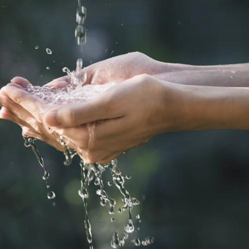 Primer plano de unas manos cuencadas recogiendo agua que cae desde arriba. El agua rebota y salpica al impactar en las palmas, formando gotas suspendidas en el aire y pequeños chorros que se escurren entre los dedos. El fondo aparece desenfocado en tonos verdes y oscuros, evocando un entorno natural al aire libre. La iluminación suave resalta la transparencia del agua y el brillo de las gotas en movimiento.