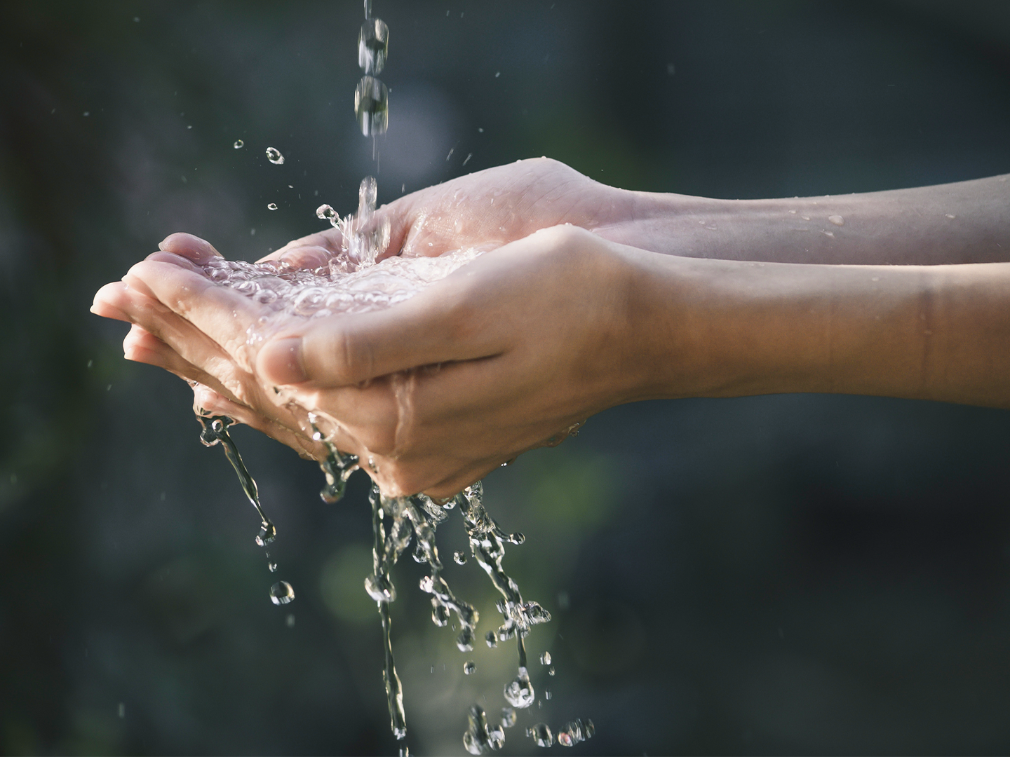 Primer plano de unas manos cuencadas recogiendo agua que cae desde arriba. El agua rebota y salpica al impactar en las palmas, formando gotas suspendidas en el aire y pequeños chorros que se escurren entre los dedos. El fondo aparece desenfocado en tonos verdes y oscuros, evocando un entorno natural al aire libre. La iluminación suave resalta la transparencia del agua y el brillo de las gotas en movimiento.