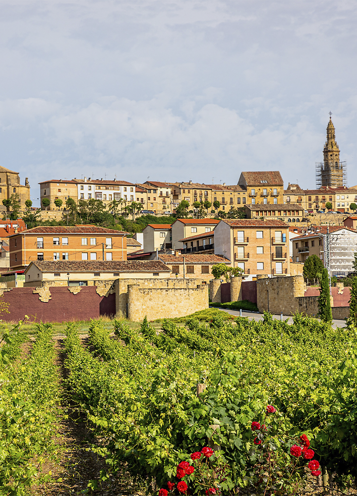 Vista panorámica de un viñedo en primer plano con hileras de vides verdes y varios rosales rojos en uno de los extremos. Al fondo se alza un núcleo urbano con edificios de tonos claros y tejados rojizos, parcialmente rodeado por una antigua muralla de piedra. A la derecha destaca una torre campanario elevada sobre el perfil de la localidad. La escena está iluminada por luz natural bajo un cielo parcialmente nublado.