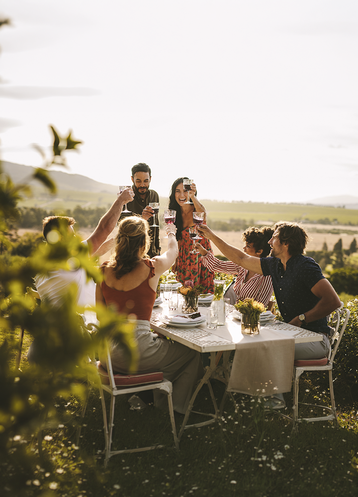 Grupo de personas reunidas alrededor de una mesa al aire libre brindando con copas en un entorno rural. La mesa está decorada con mantelería clara, vajilla, flores y bebidas. Al fondo se extiende un paisaje de campos y colinas iluminado por la luz natural. La escena transmite una reunión social en jardín o terraza, con vegetación desenfocada en primer plano que enmarca la composición.