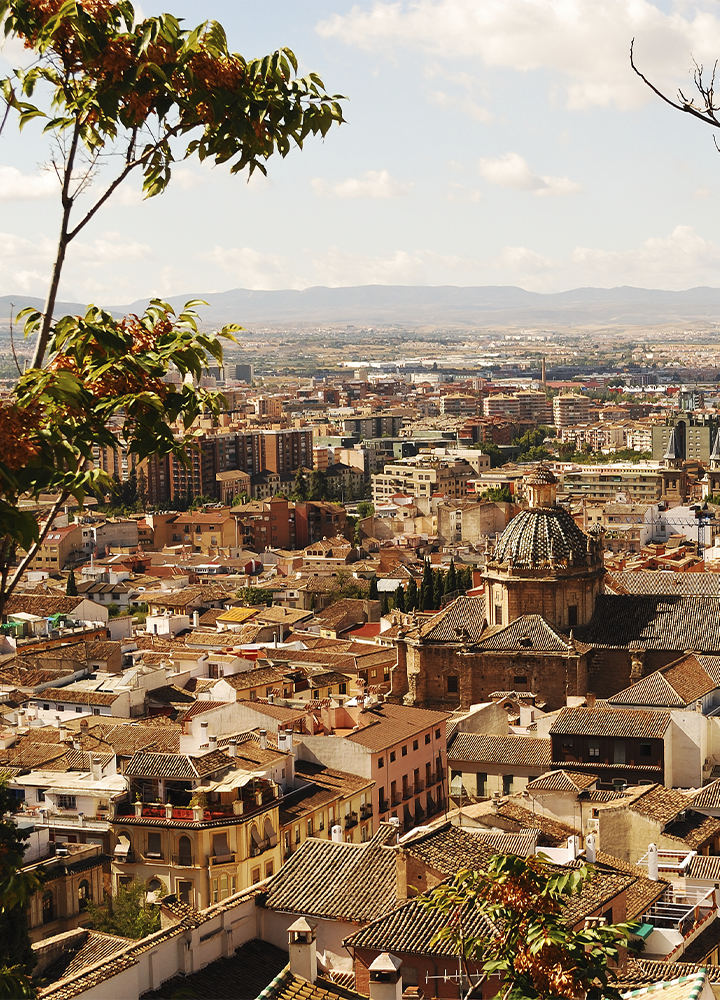 Vista panorámica de una ciudad con tejados de teja y edificios de distintas alturas extendiéndose hasta el horizonte. En primer plano destaca una iglesia histórica con una gran cúpula decorada y fachadas de piedra. La escena está enmarcada por ramas con hojas verdes en la parte superior e inferior, mientras al fondo se observan llanuras y montañas bajo un cielo claro iluminado por luz cálida.