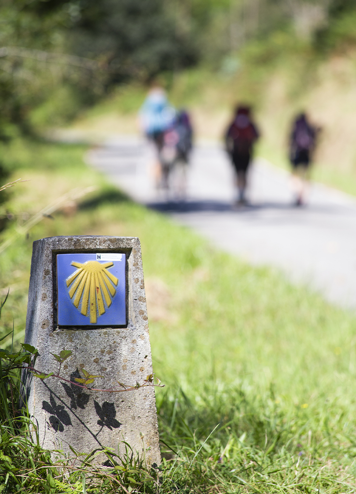 Hito del Camino de Santiago junto a una senda rural, con el símbolo de una concha amarilla sobre fondo azul. Al fondo, desenfocados, varias personas caminan y una circula en bicicleta por un camino rodeado de vegetación.