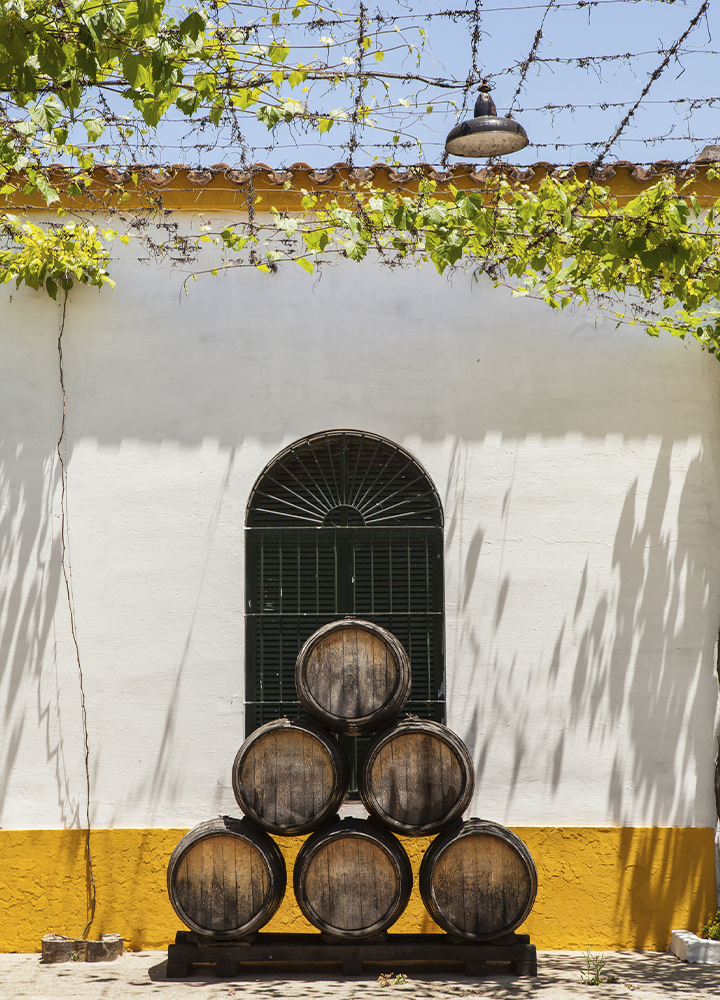 Cinco barricas de madera apiladas en forma piramidal frente a una pared blanca con zócalo amarillo. Detrás se encuentra una ventana arqueada con reja oscura. En la parte superior, una pérgola cubierta de ramas y hojas de vid proyecta sombras sobre la fachada, mientras una lámpara colgante sobresale sobre el tejado de tejas. La escena está iluminada por luz natural y evoca el entorno de una bodega o finca vinícola.