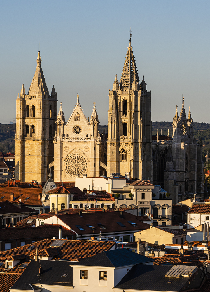 Vista cercana de una gran catedral gótica destacando sobre los tejados rojizos de una ciudad. El edificio presenta dos altas torres, una aguja central ornamentada y un gran rosetón en la fachada principal. La luz cálida ilumina la piedra clara del monumento, mientras el cielo despejado y las edificaciones del casco urbano en primer plano completan la escena.