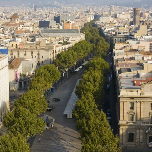 Vista aérea de una amplia avenida peatonal arbolada que atraviesa el centro de una ciudad. Filas de árboles frondosos recorren el paseo de principio a fin, rodeadas por edificios históricos y modernos de distintas alturas. La perspectiva elevada muestra el trazado recto de la avenida extendiéndose hacia el horizonte, con colinas y una densa zona urbana al fondo bajo una luz suave de final del día.