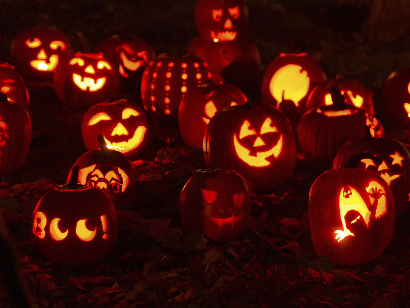 Conjunto de calabazas de Halloween talladas con diferentes expresiones y rostros iluminados desde el interior. Las calabazas, de tonos naranjas intensos, están dispuestas sobre una superficie oscura y rodeadas de decoraciones otoñales, creando una escena festiva y característica de Halloween.